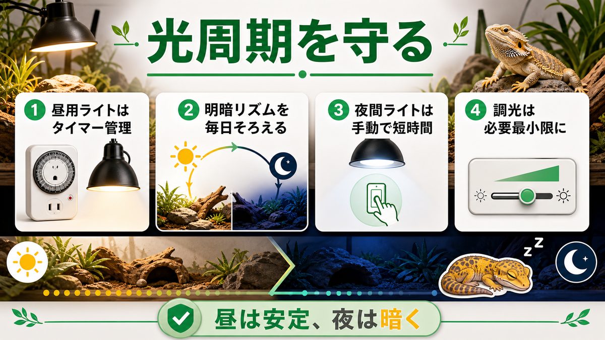 タイマー・調光で光周期を管理するの要点をまとめたカメレオン・爬虫類飼育インフォグラフィック