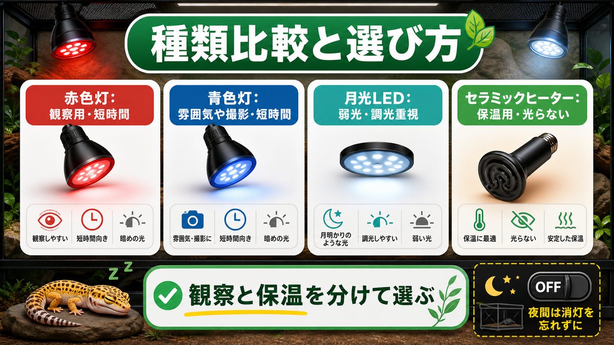 種類比較と選び方の要点をまとめたカメレオン・爬虫類飼育インフォグラフィック