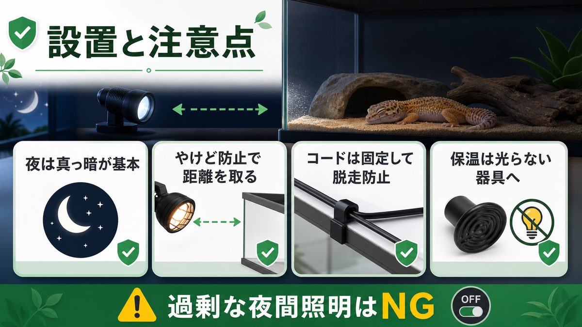 設置と注意点(過剰な夜間照明はNG)の要点をまとめたカメレオン・爬虫類飼育インフォグラフィック