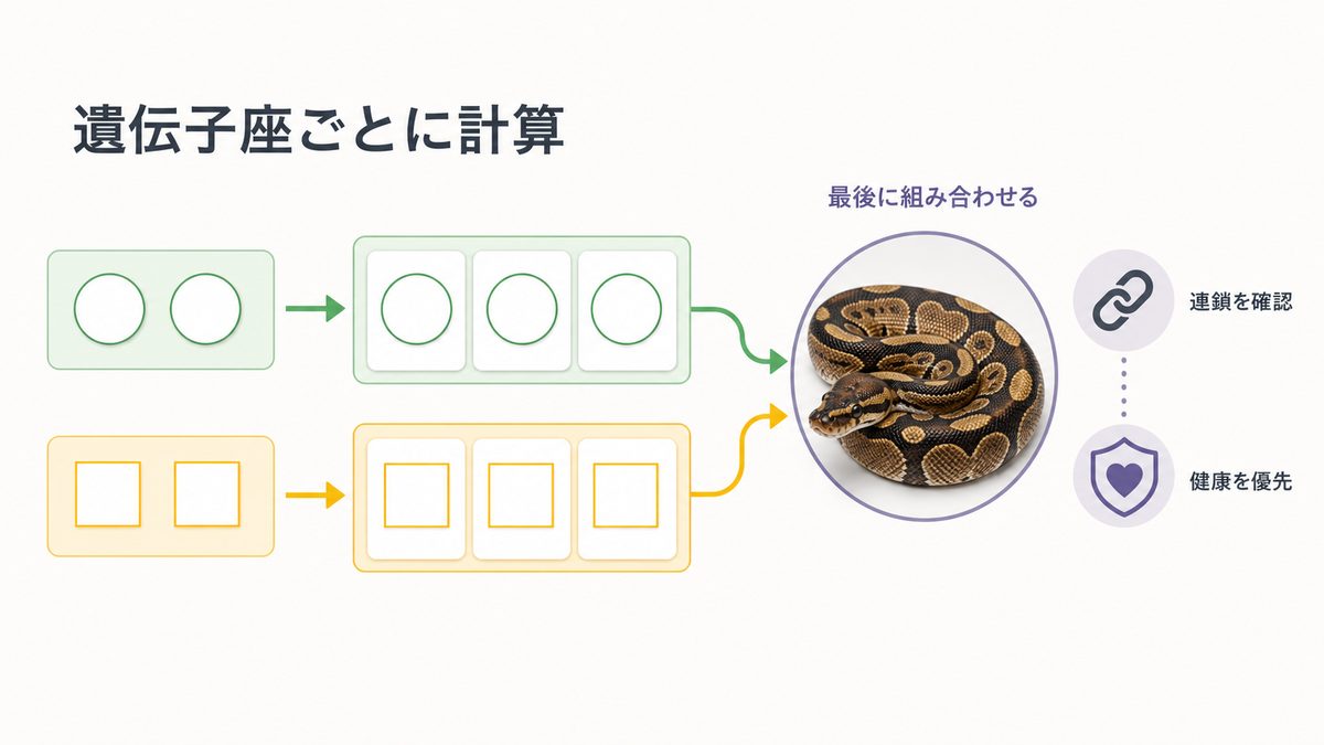 複合モルフを遺伝子座ごとに計算し連鎖と健康を確認して組み合わせる図