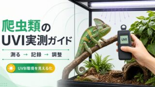 爬虫類ケージでUVIメーターを使いUVB環境を実測するガイド