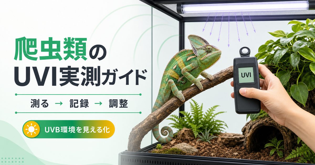 爬虫類ケージでUVIメーターを使いUVB環境を実測するガイド