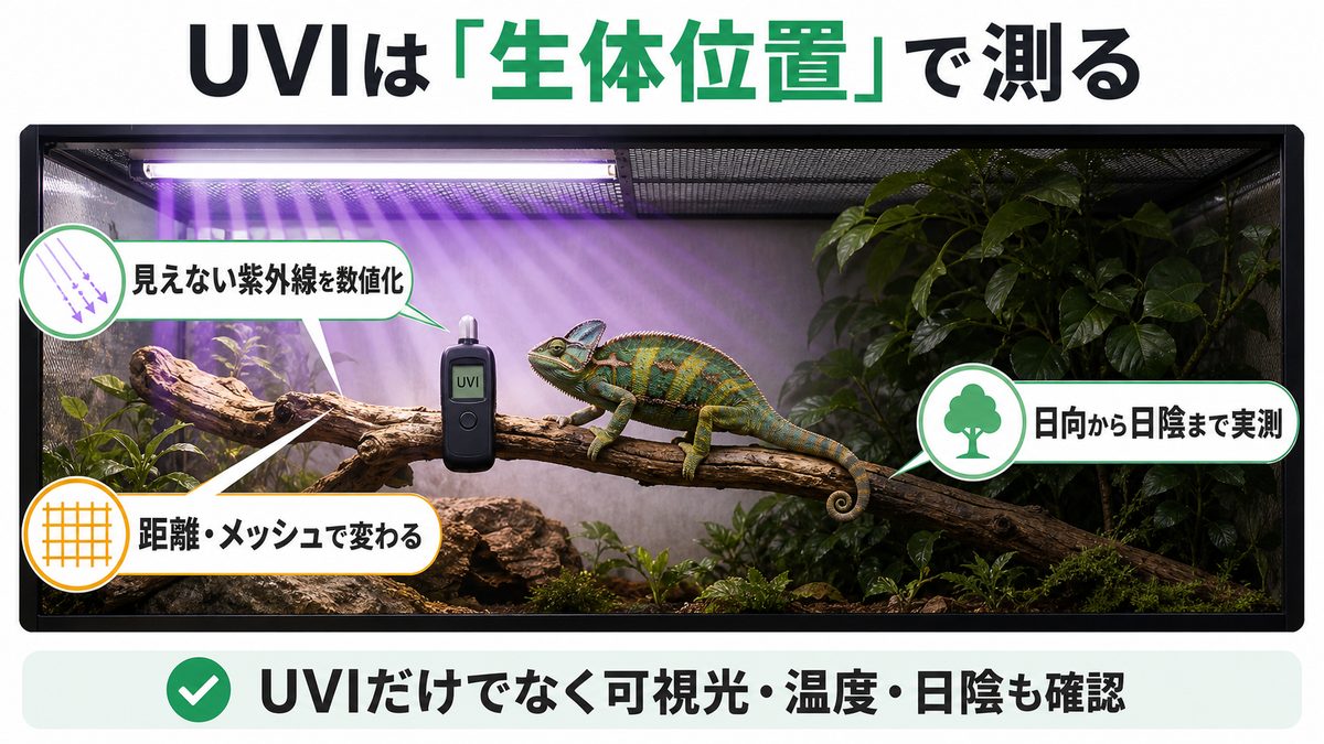 爬虫類の生体位置でUVIを測り日向から日陰まで確認する方法