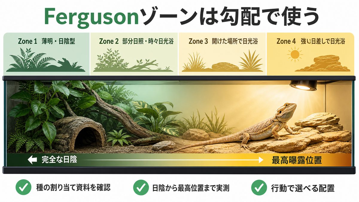 Fergusonゾーンに合わせて完全な日陰から最高曝露位置までUV勾配を作る図