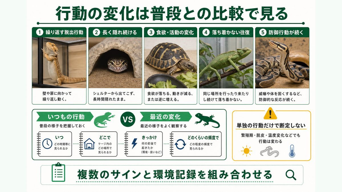 爬虫類の脱出行動・長い隠れ・食欲活動・往復・防御行動を普段と比較する方法