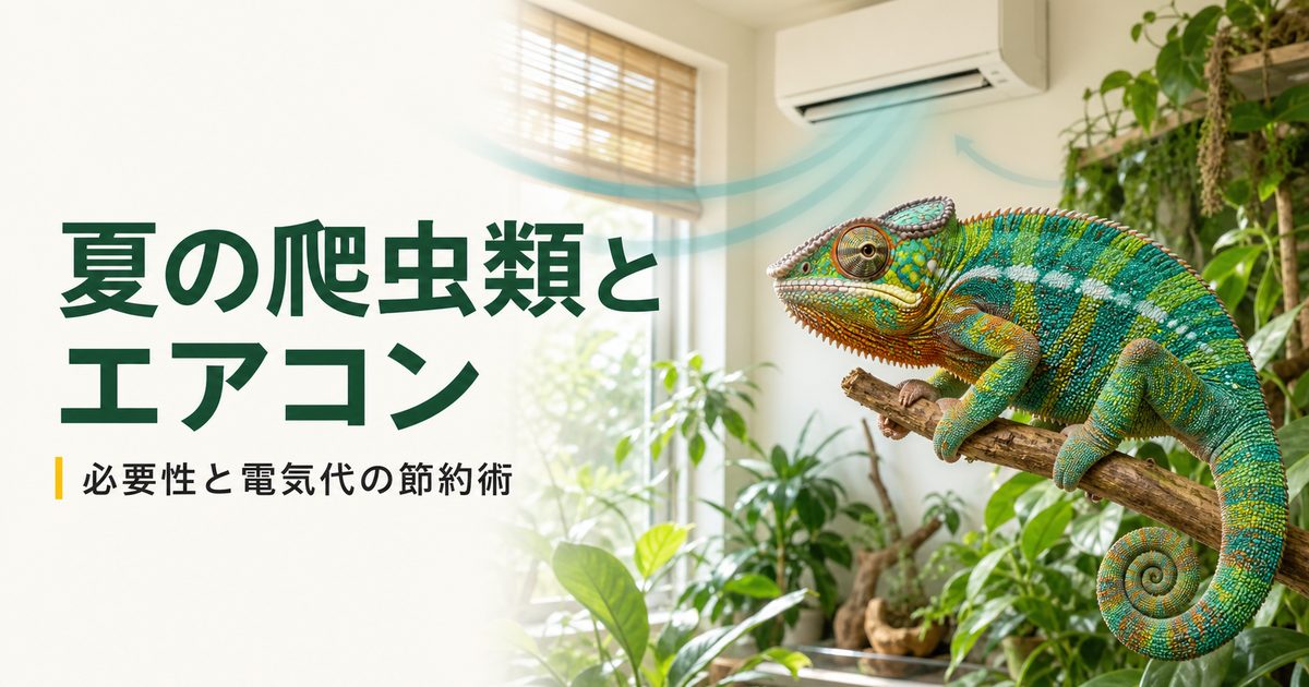 夏の爬虫類をエアコンで温度管理し電気代を節約する方法を示すアイキャッチ