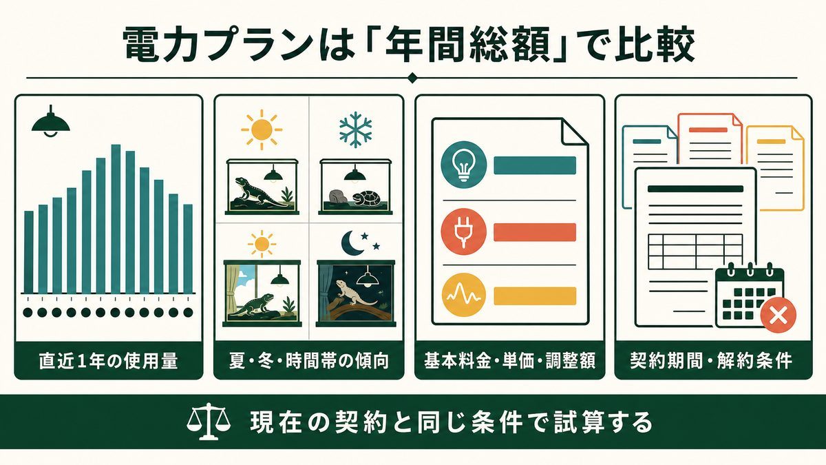 電力プランを年間使用量・時間帯・料金内訳・契約条件で比較する図