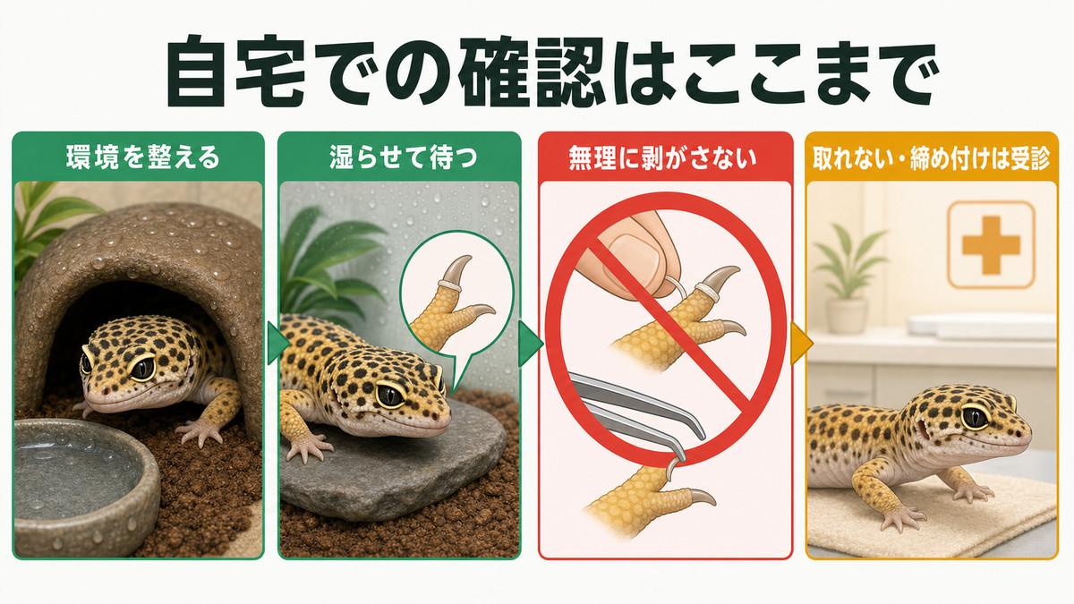 指先の残皮を無理に剥がさず環境調整から受診へ進む安全手順