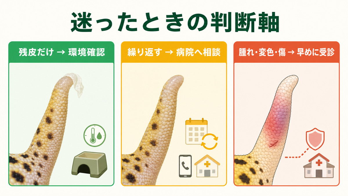 残皮・繰り返し・腫れや変色に応じた相談と受診の判断図
