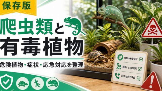 爬虫類に危険な有毒植物・植物中毒完全ガイド｜危険な植物一覧・症状・応急処置・テラリウムに安全な植物の選び方の要点を伝えるカメレオン・爬虫類記事アイキャッチ画像