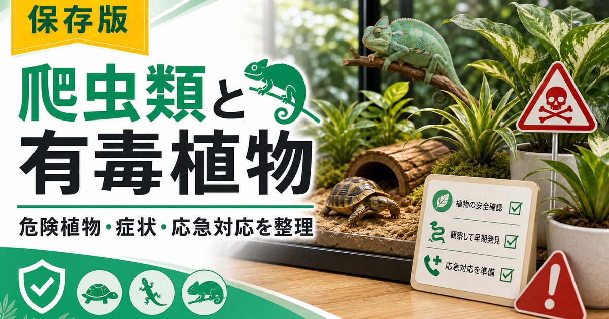 爬虫類に危険な有毒植物・植物中毒完全ガイド｜危険な植物一覧・症状・応急処置・テラリウムに安全な植物の選び方の要点を伝えるカメレオン・爬虫類記事アイキャッチ画像