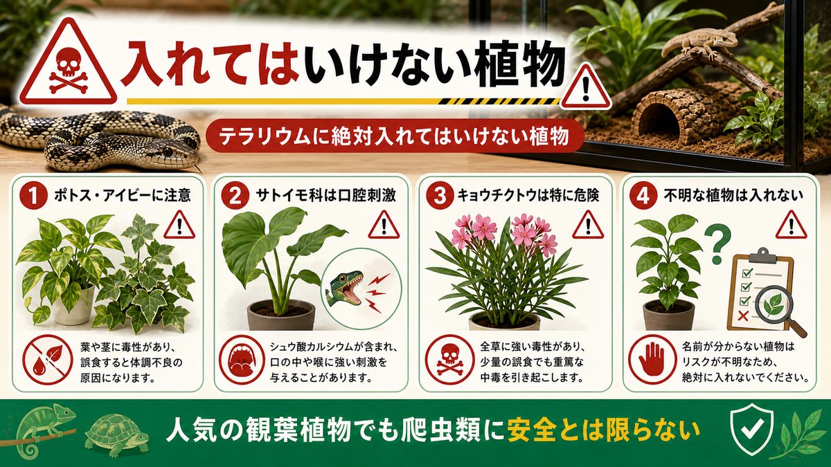 危険な有毒植物一覧——テラリウムに絶対入れてはいけない植物の要点をまとめたカメレオン・爬虫類飼育インフォグラフィック