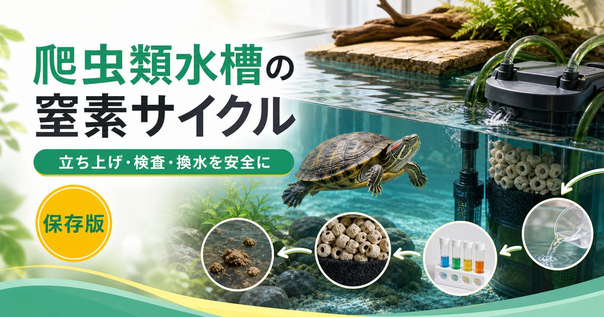 爬虫類テラリウムの窒素サイクル・水質管理完全ガイド｜水棲ガメ・水棲ヘビ・半水棲種の飼育水を安全に保つ方法の要点を伝えるカメレオン・爬虫類記事アイキャッチ画像