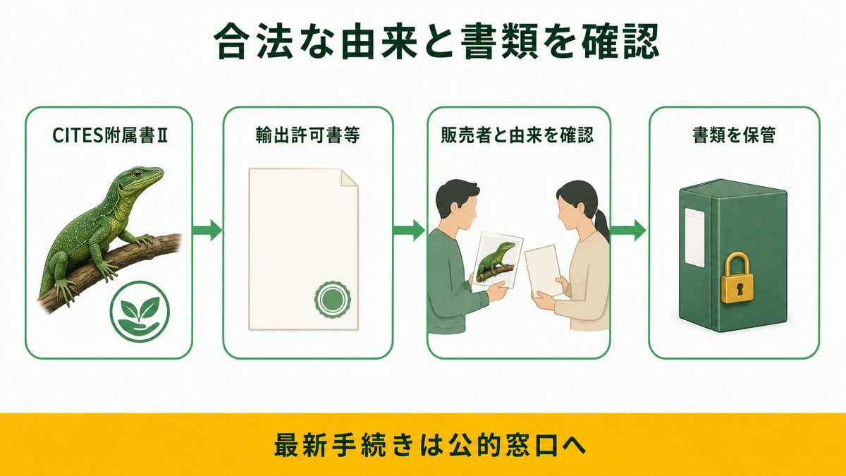 エメラルドツリーモニターのCITES附属書II、由来確認、書類保管の流れを示す図