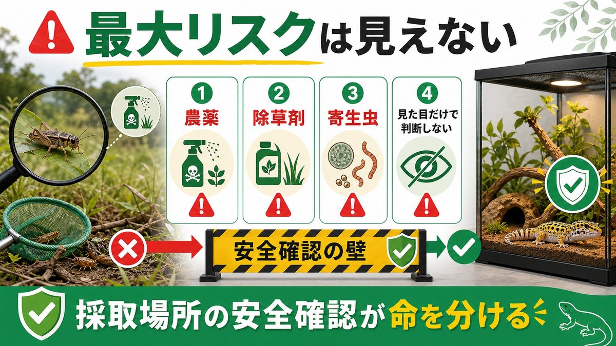 最大の敵=農薬・除草剤・寄生虫の要点をまとめたカメレオン・爬虫類飼育インフォグラフィック
