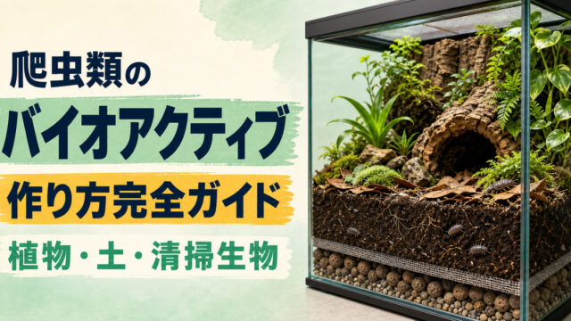 植物・土壌・清掃生物で作る爬虫類バイオアクティブテラリウムのアイキャッチ