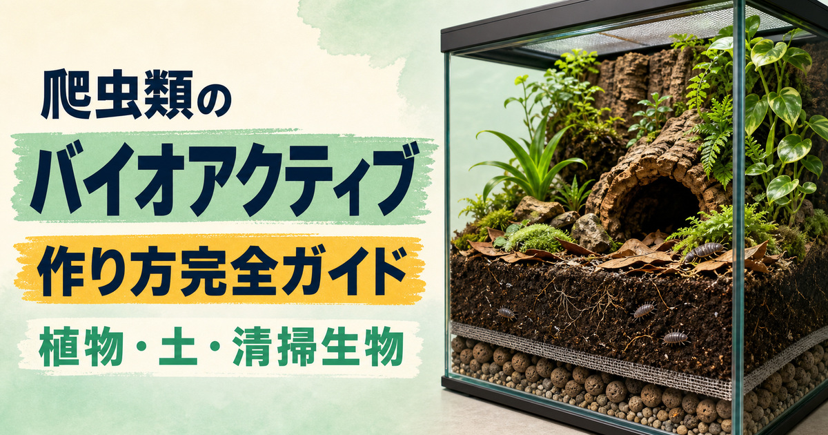 植物・土壌・清掃生物で作る爬虫類バイオアクティブテラリウムのアイキャッチ