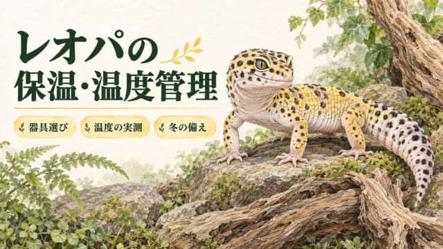 レオパの保温と温度管理。器具選び、温度の実測、冬の備えを伝えるイラスト。